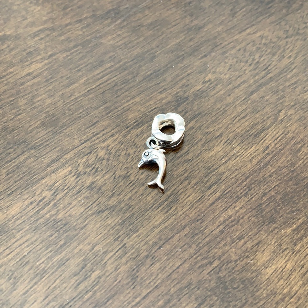 Silver Dolphin Charm